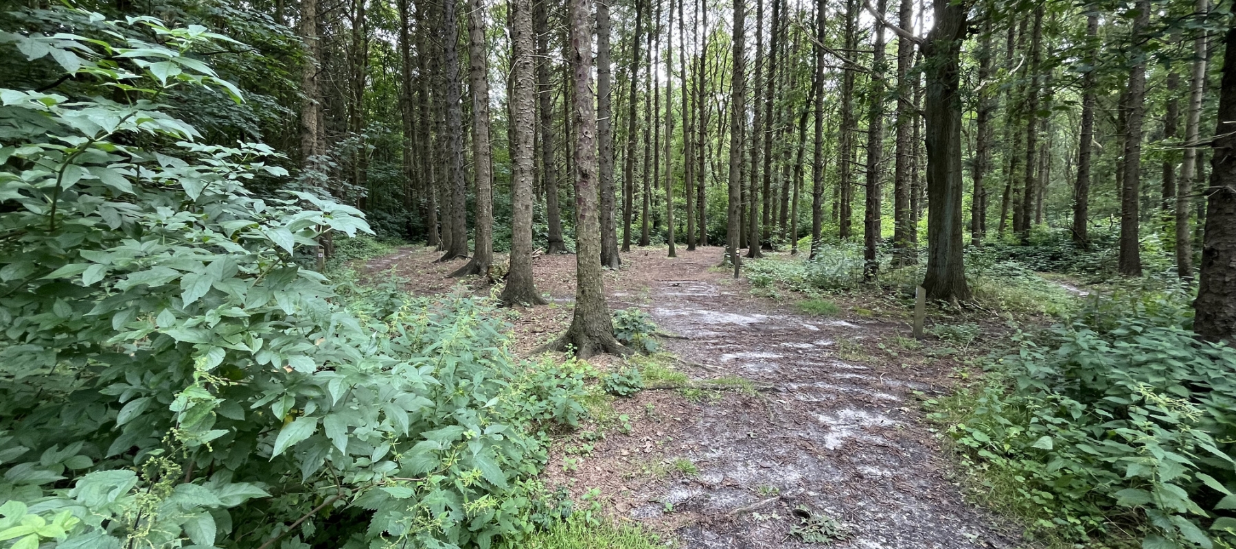 Buitenplaats Snippenwei (NH)